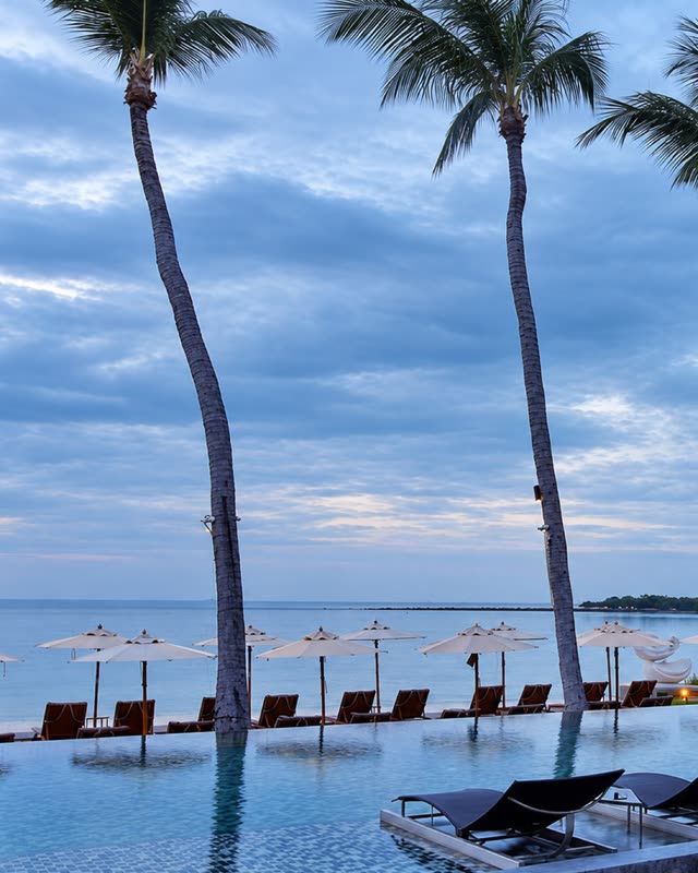Two leaning palms beside an infinity pool at dusk, with the sea behind