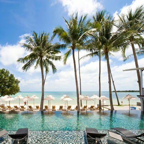 Palms leaning over a pool edge with parasols and the sea beyond
