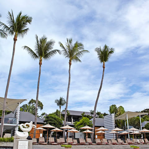 Palms leaning over sun beds and parasols beside a white sculpture